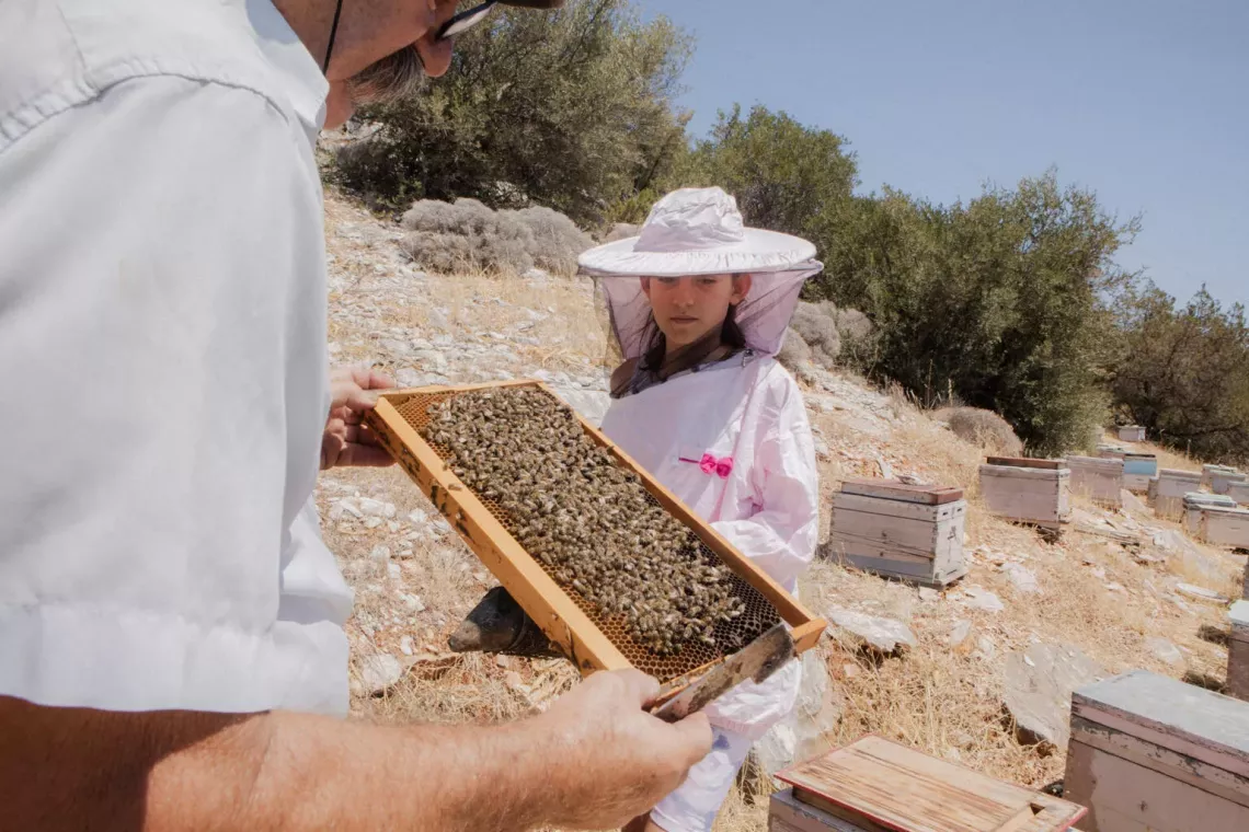 Beekeper Markos showing a beehive to his grandaughter Markela.