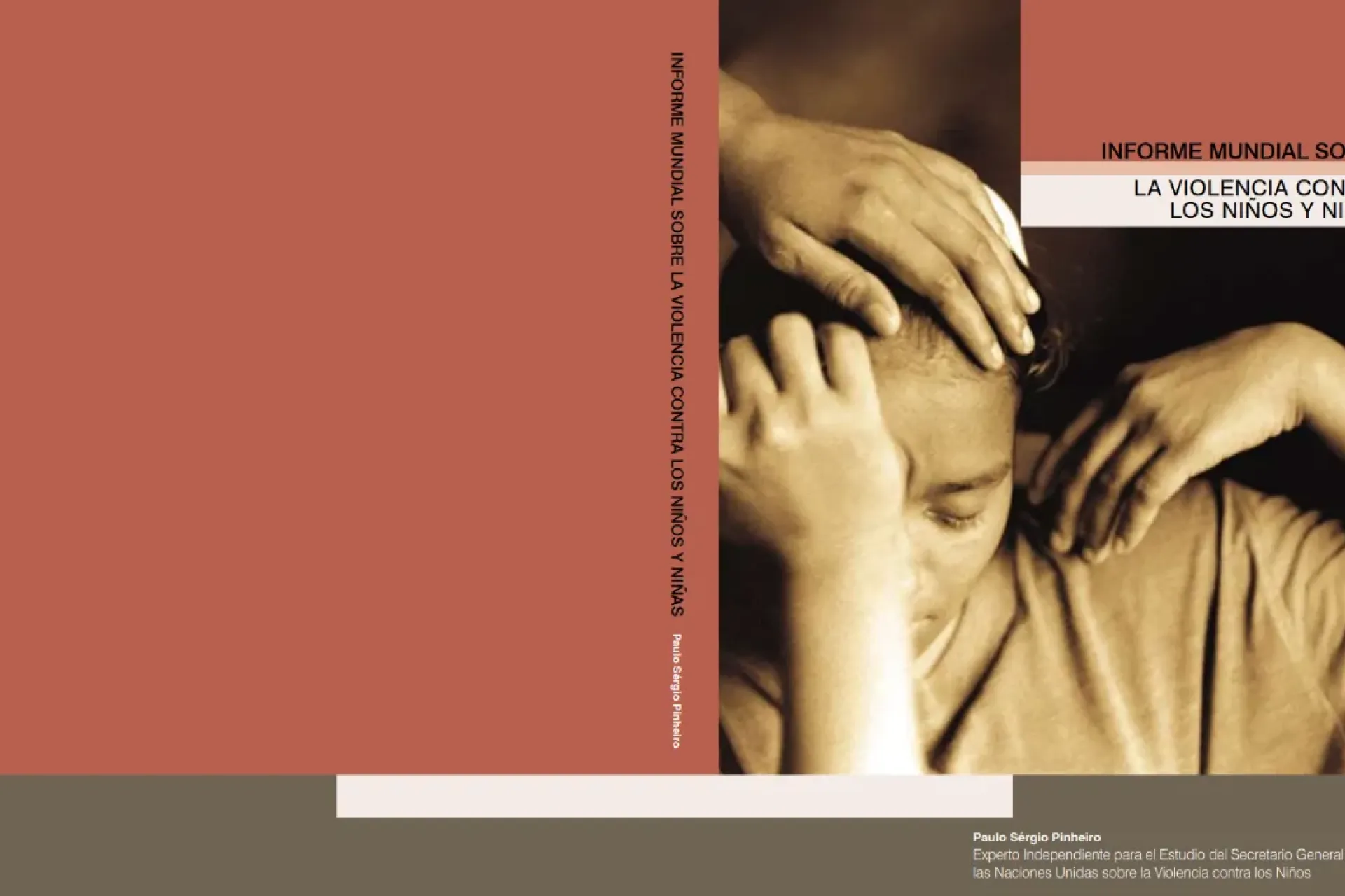 Informe mundial contra la violencia