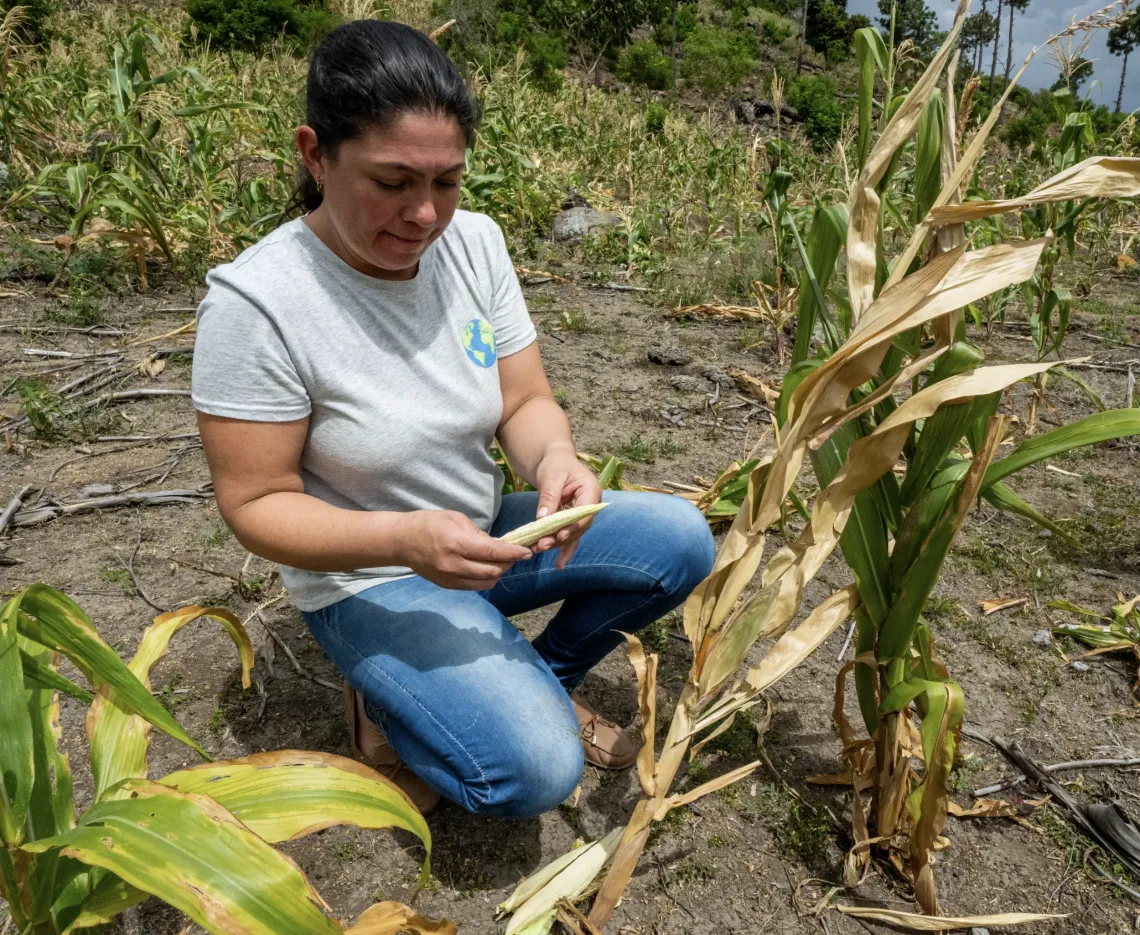Sequ&iacute;a guatemala 2