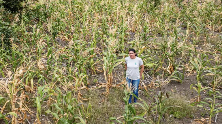 Sequ&iacute;a Guatemala1