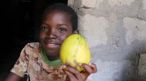 Child with mangoes