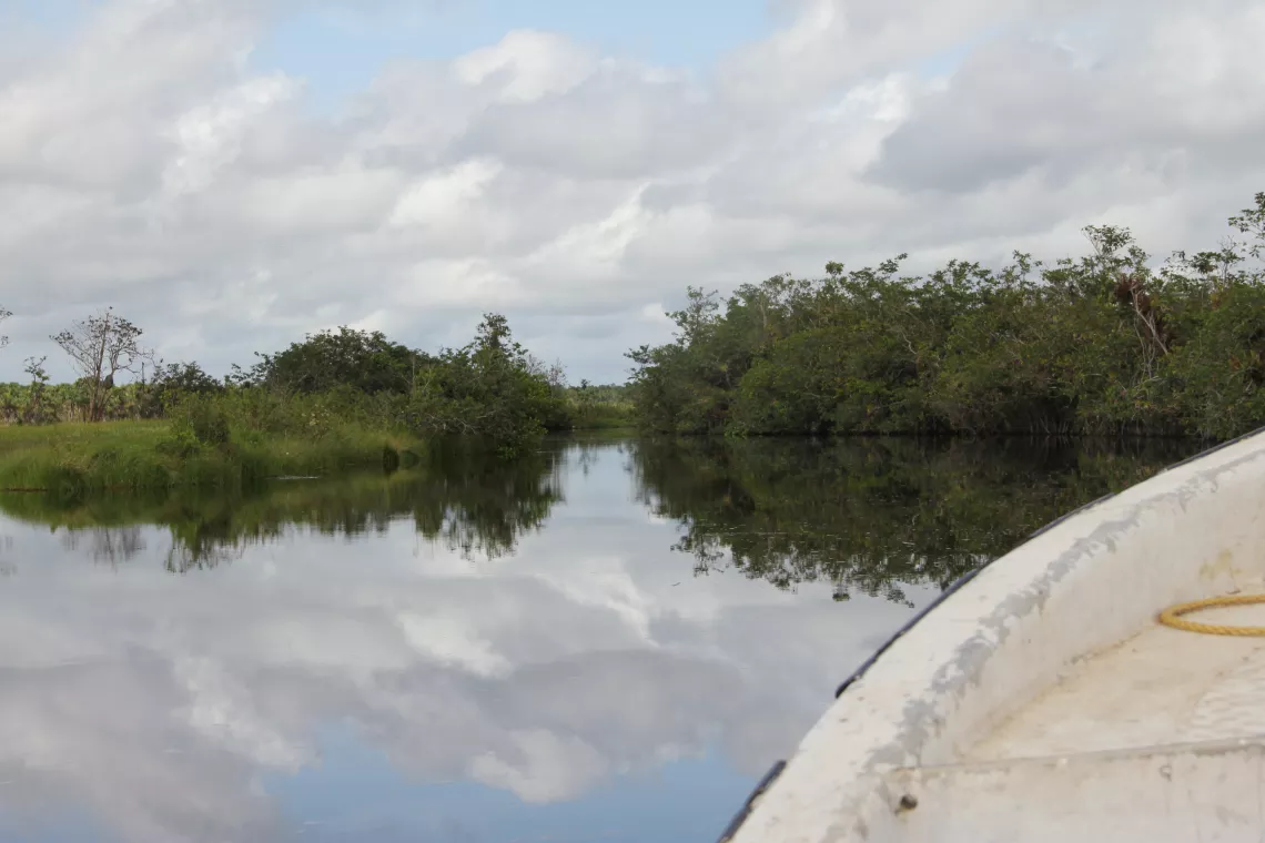 A journey up river in Guyana