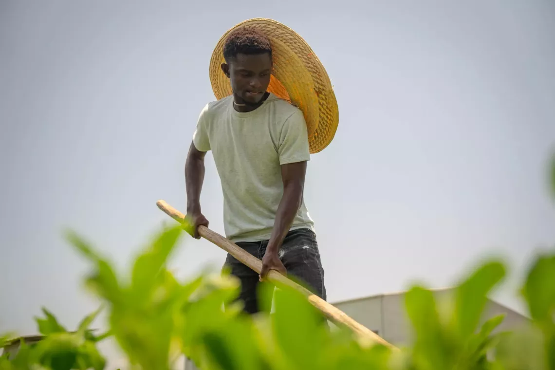 Un jeune agriculteur travaille dans les champs de cacahu&egrave;tes de la ferme MFK.