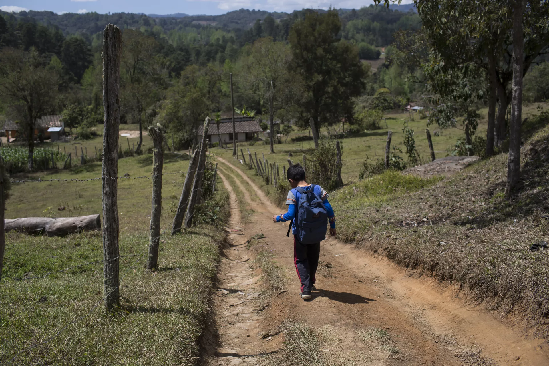 Ni&ntilde;o camino a la escuela