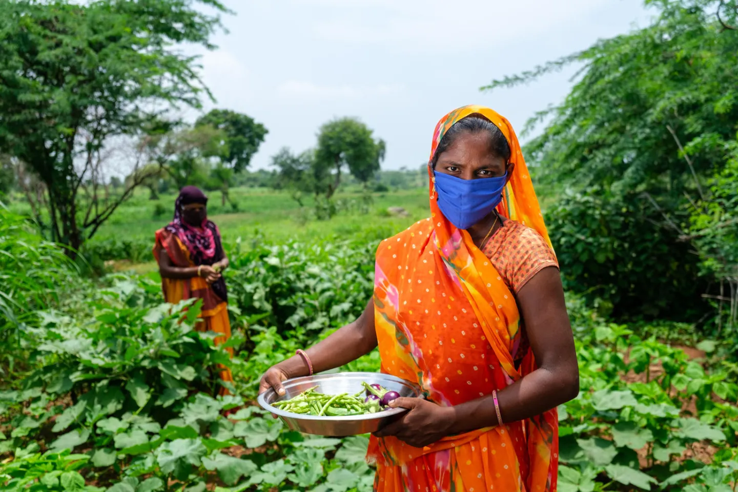 Anganwadi worker Laxmi Tara visits the kitchen garden of Sheela Angati where she explains benifits of different green vegetables during COVID 19.