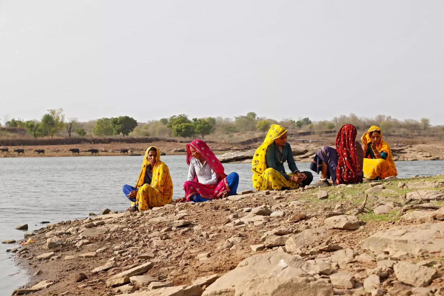 The group of women pictured near tradition water body known as &lsquo;Pokhar&rsquo; equipped with solar - based water pumps in Barki village in Karauli district in Rajasthan, India. The women have been part of the youth group which works actively to sustainable manage natural water bodies.