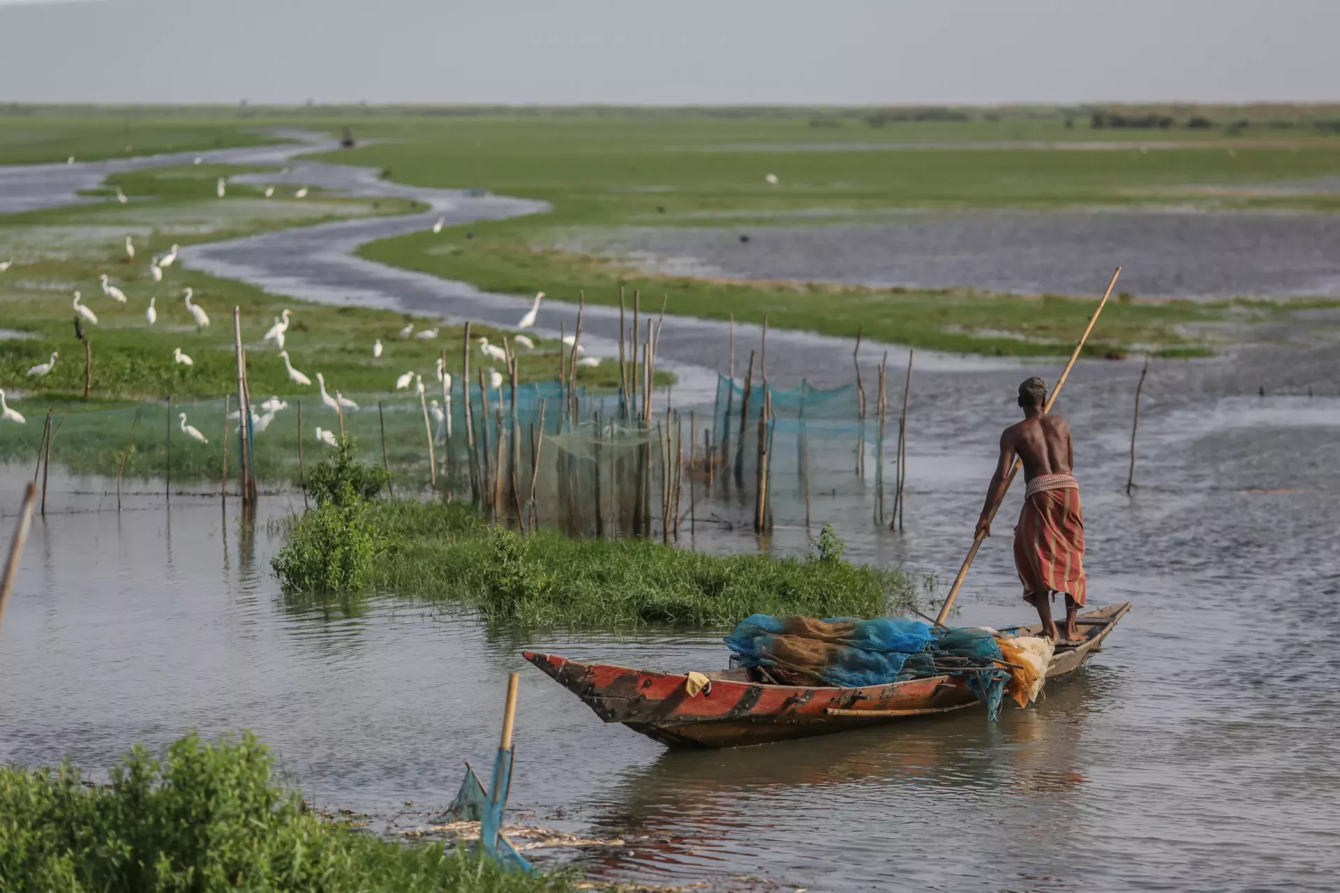 A fisherman fishing at Chilika lake at Mangalajodi village at Khurdha district in Odisha, India, on Monday, May 16, 2022. 