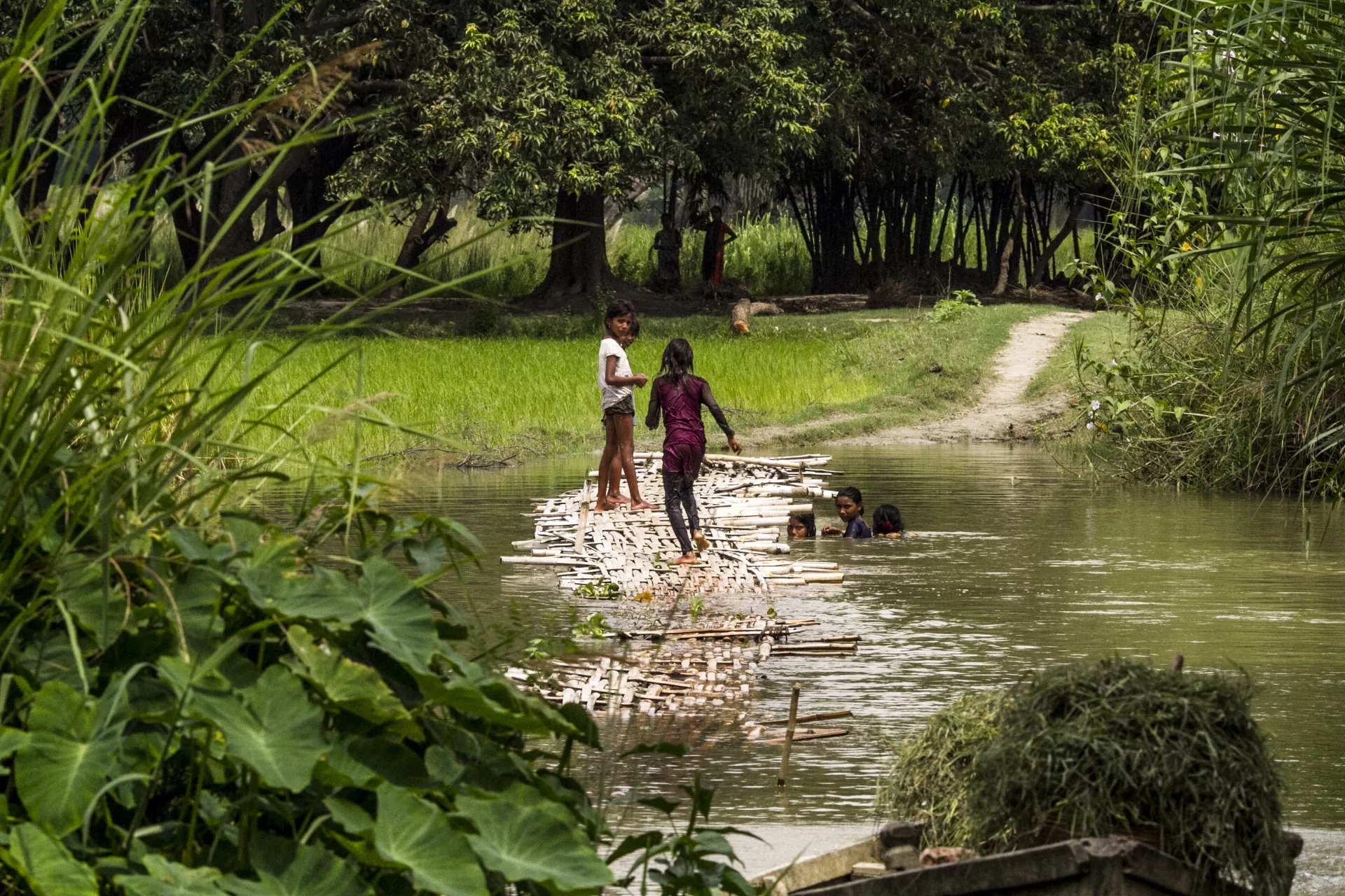 Children play in Gehua river, Madhubani, one of the worst flood-affected districts in Bihar Province.
