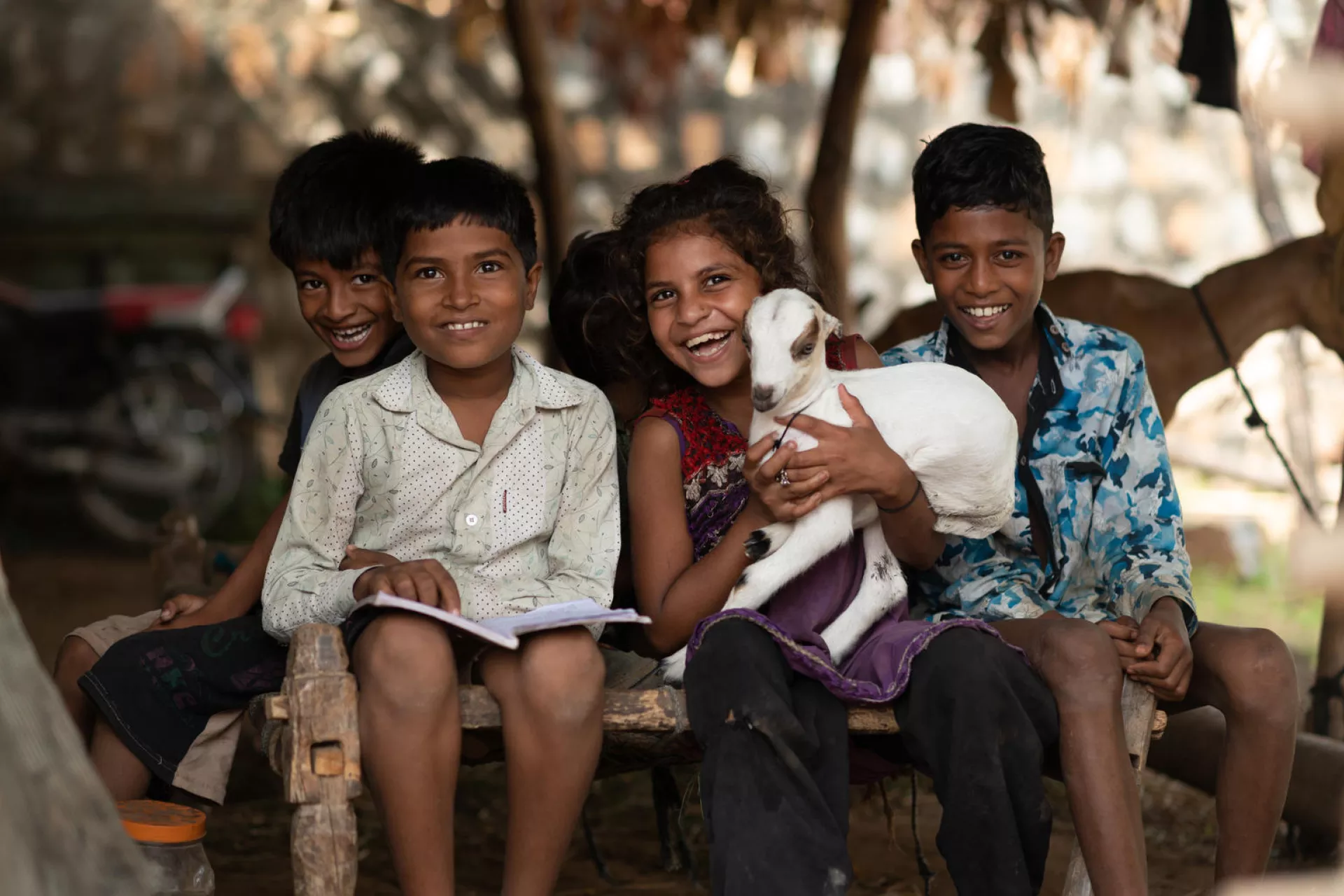 Boys and girls sit at home and the girl is holding a goat