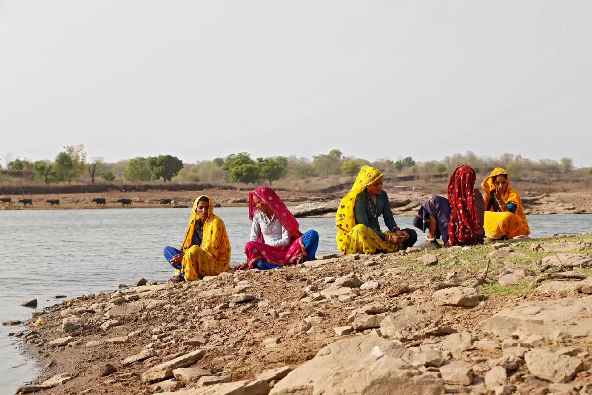 The group of women pictured near tradition water body known as &lsquo;Pokhar&rsquo; equipped with solar - based water pumps in Barki village in Karauli district in Rajasthan, India. The women have been part of the youth group which works actively to sustainable manage natural water bodies.