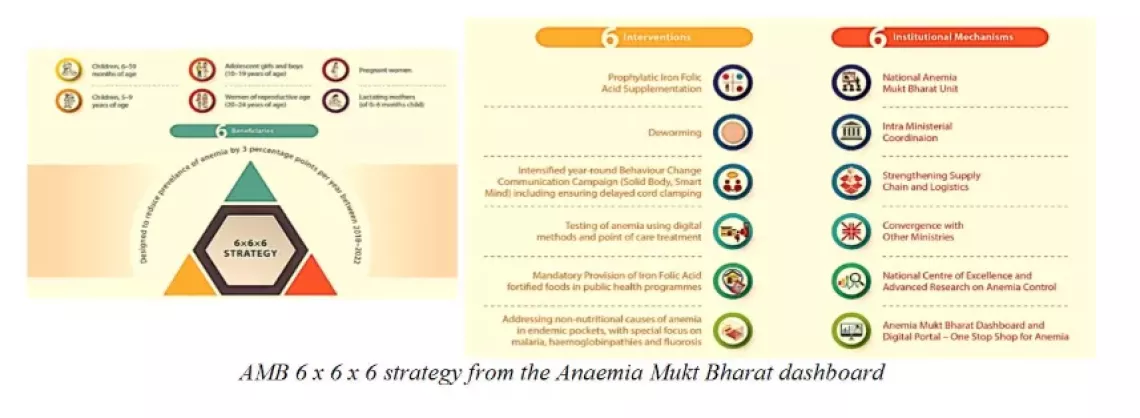 AMB 6 x 6 x 6 strategy from the Anaemia Mukt Bharat dashboar