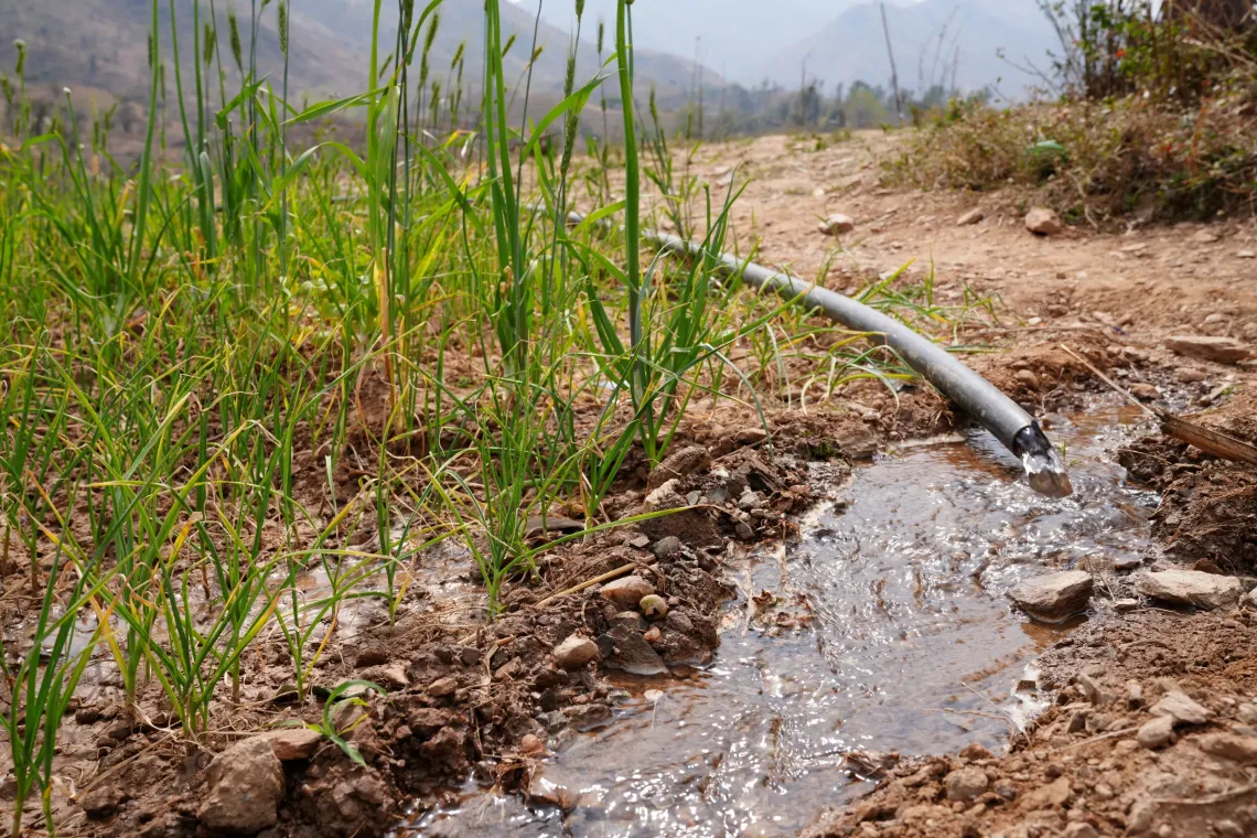 Water stored in percolation tanks is utilized for irrigation using solar-powered pumps. 