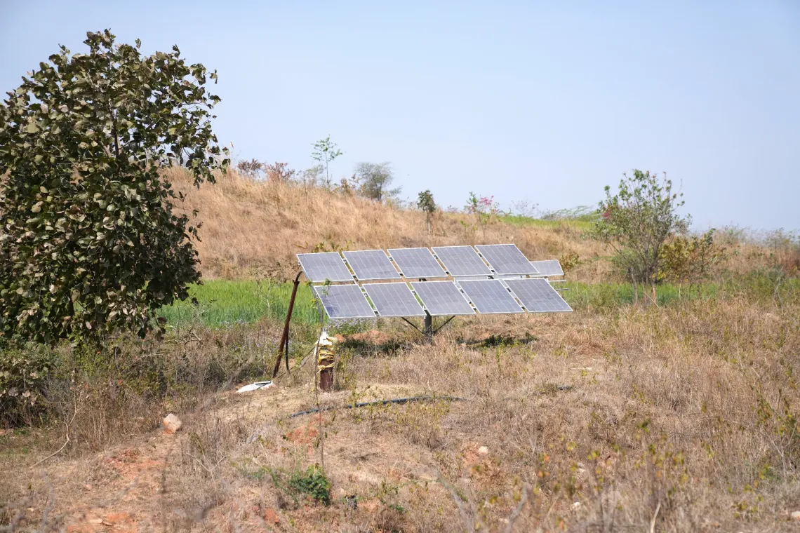 Water stored in percolation tanks is utilized for irrigation using solar-powered pumps. 