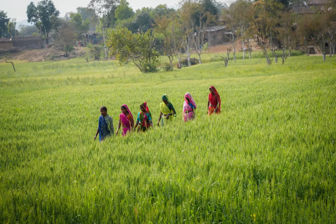 Lali is one among many women who have been empowered through the watershed initiative. They grow variety of vegetables in the farms. 