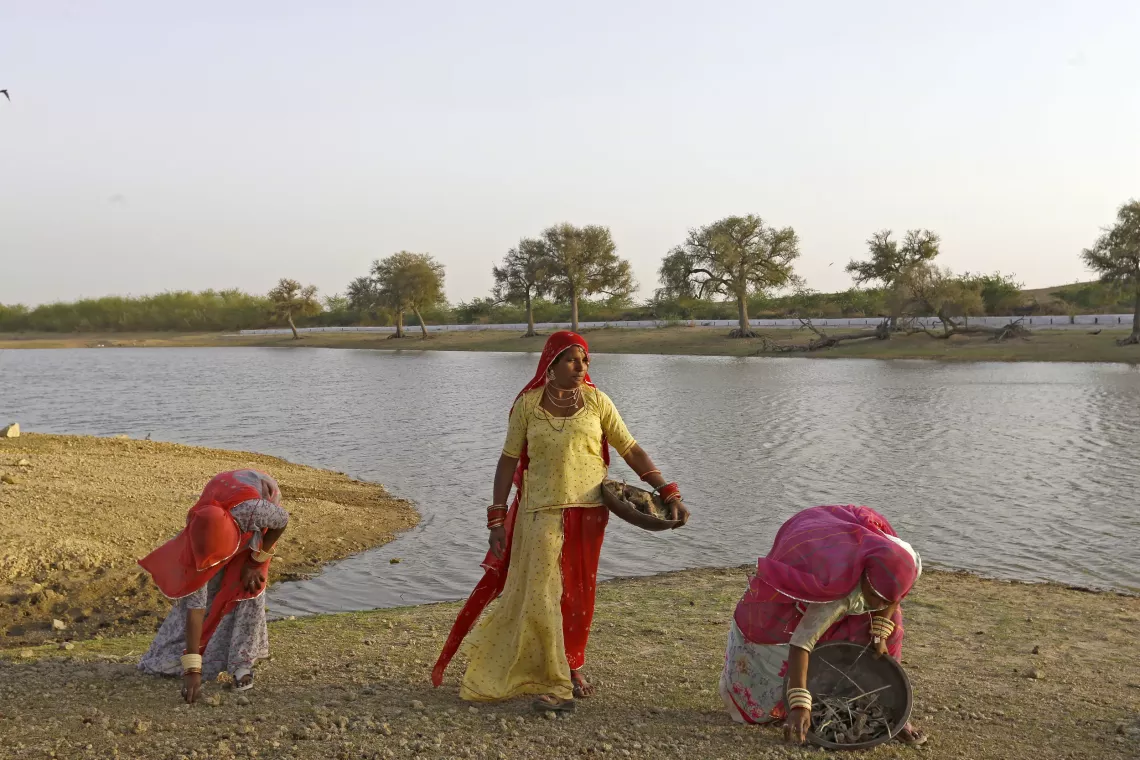Leela Khatun and other jal sahelis clean the catchment area near the pond in Kanasar village or Rajasthan. It is the responsibility of the villagers to keep the pond and its surrounding area clean
