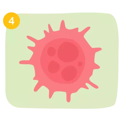Cancer