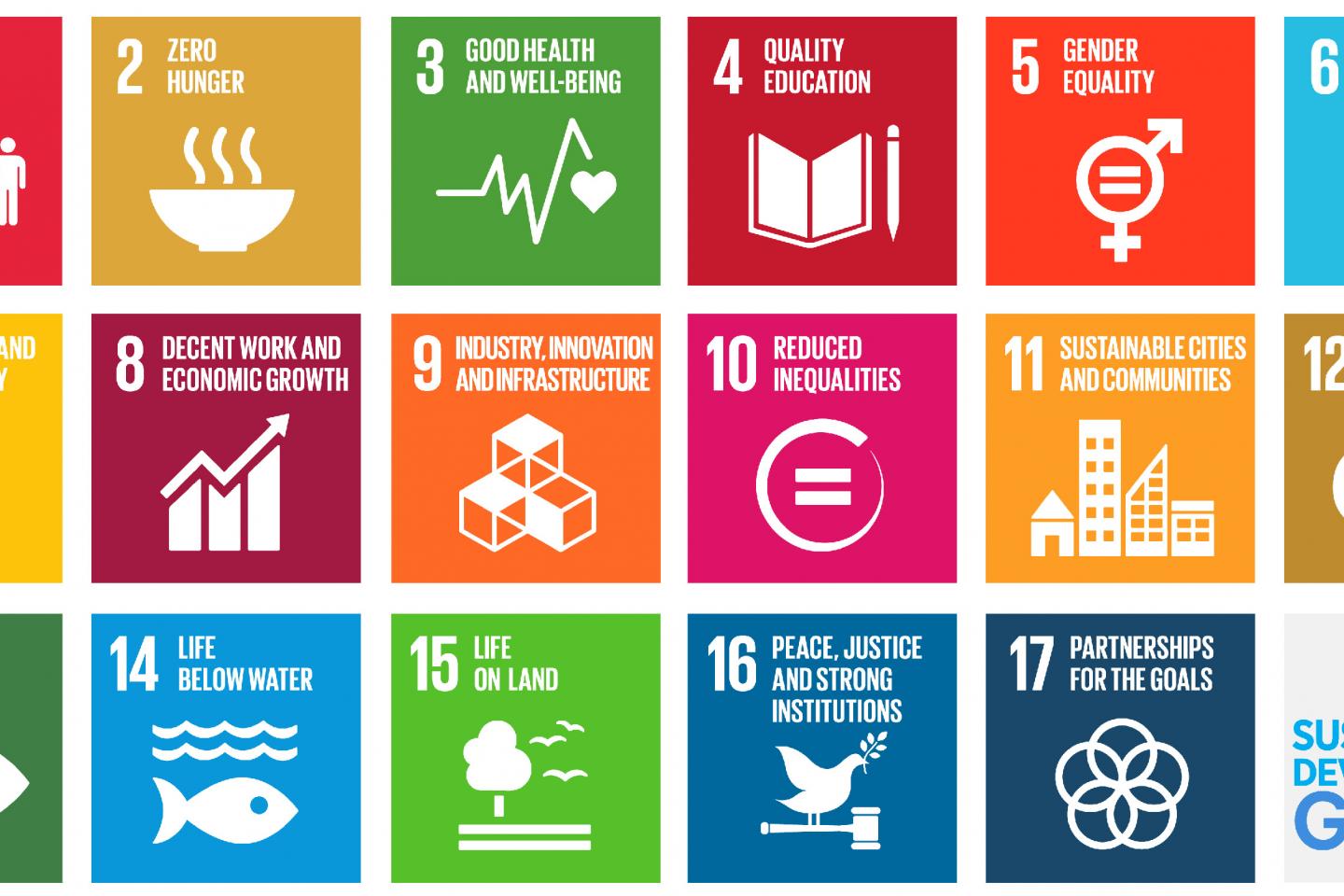 Image result for SDGs