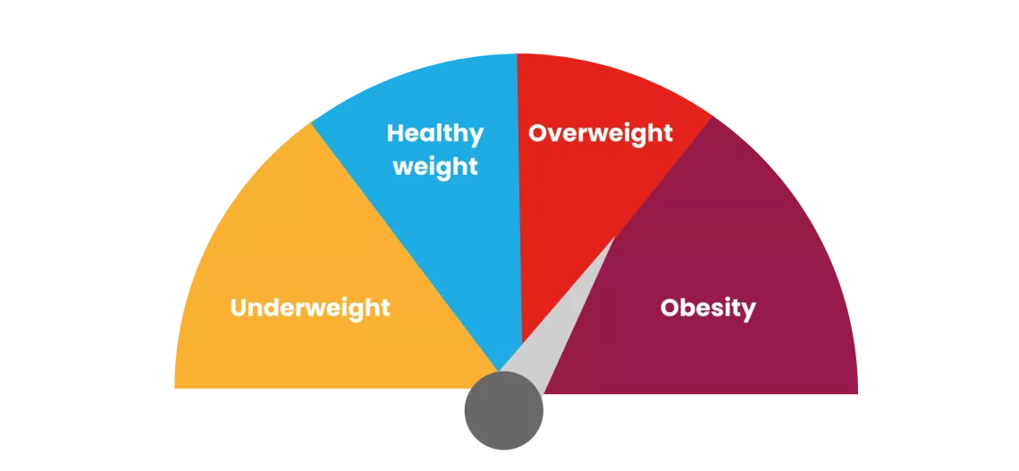 Obesity scale