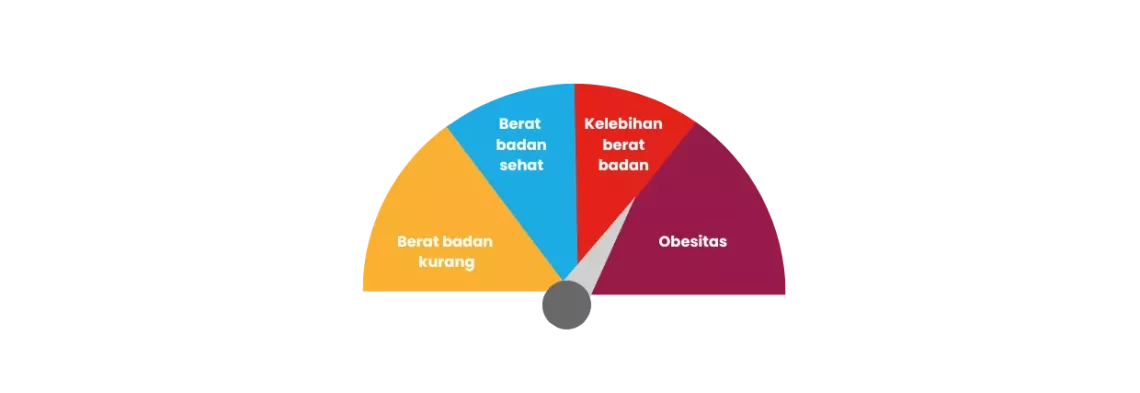 Diagram obesitas