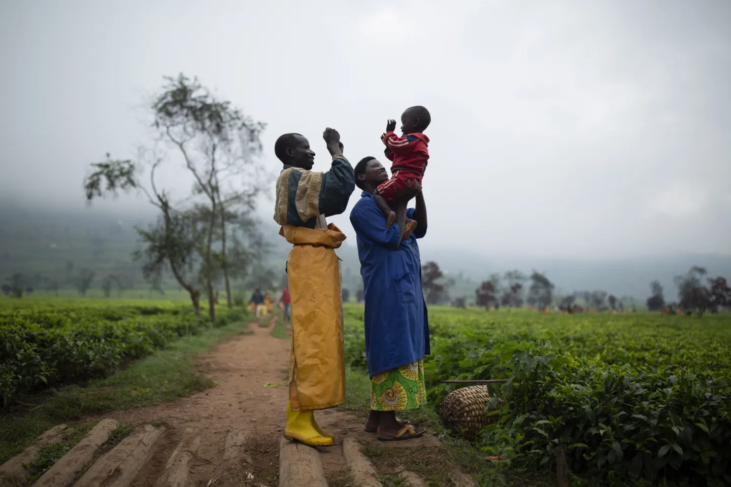 Parents hold their son, 2, while on break in a field of the tea factory where they both work, Rwanda