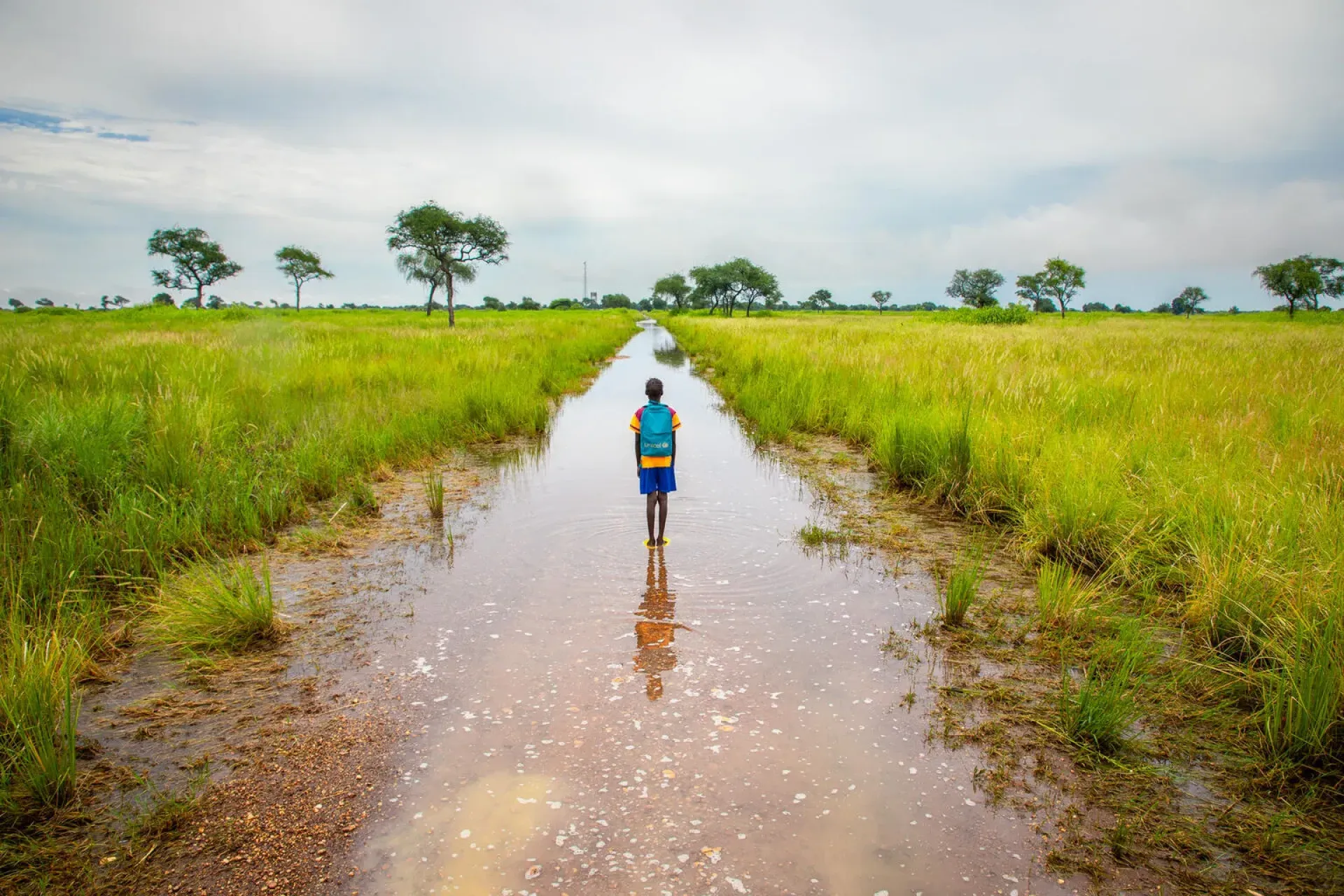 Boy walking down a wet road between rice paddies
