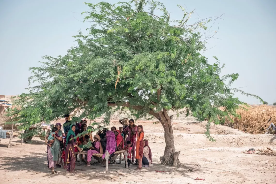 People sheltering from the heat in Pakistan