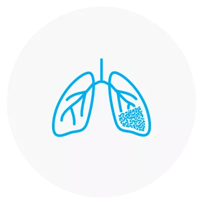 Icon of a pair of lungs
