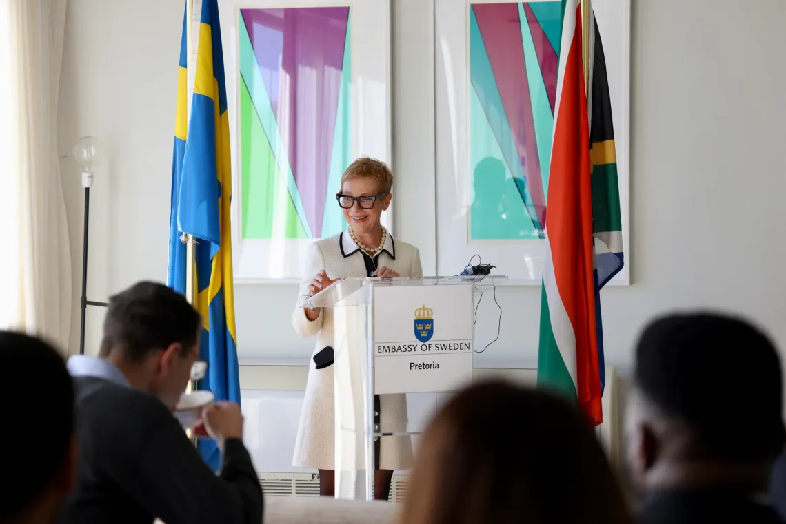 Anna-Karin Enestrom, Swedish Ambassador to South Africa