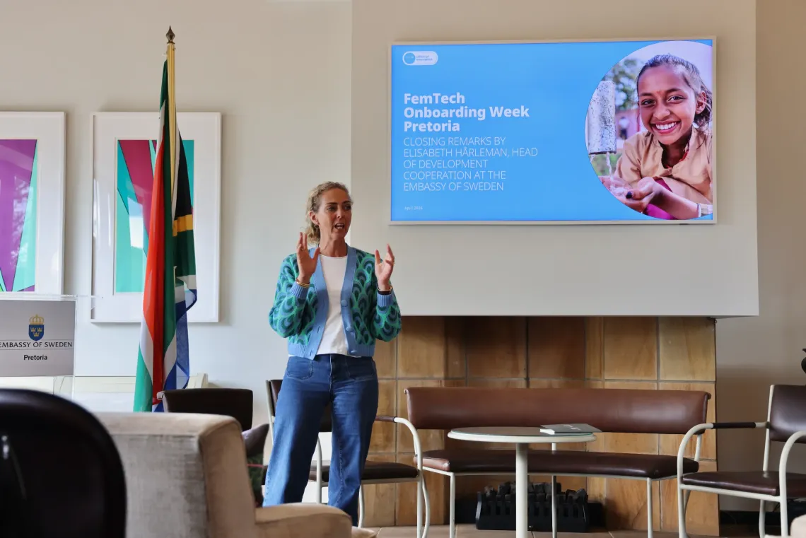 Elisabeth Harleman, Head of Development Cooperation at the Embassy of Sweden