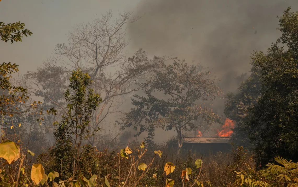 slash and burn