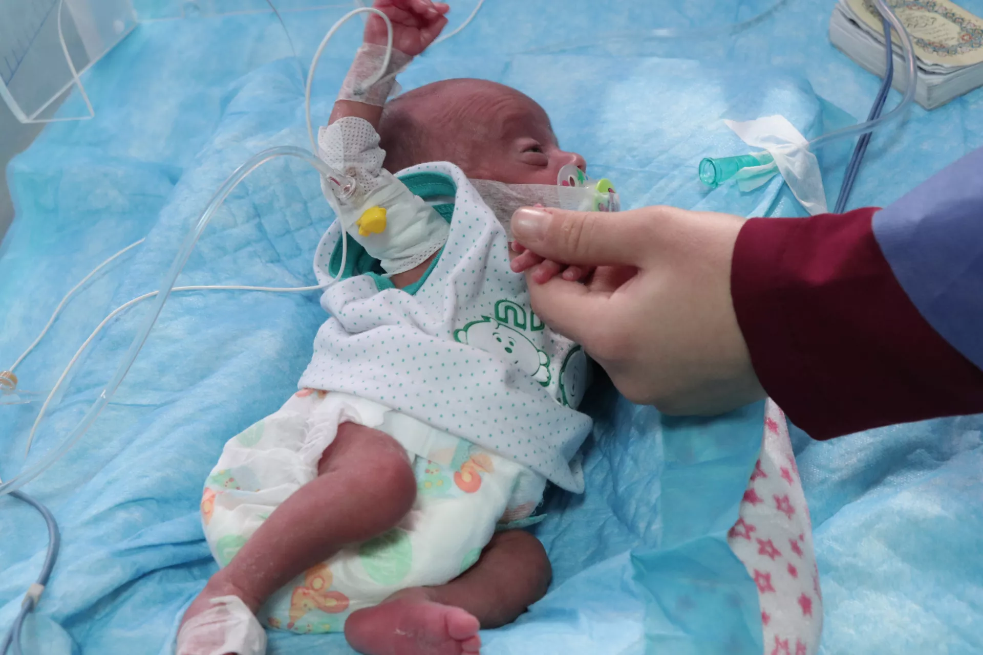A newborn in the incubator