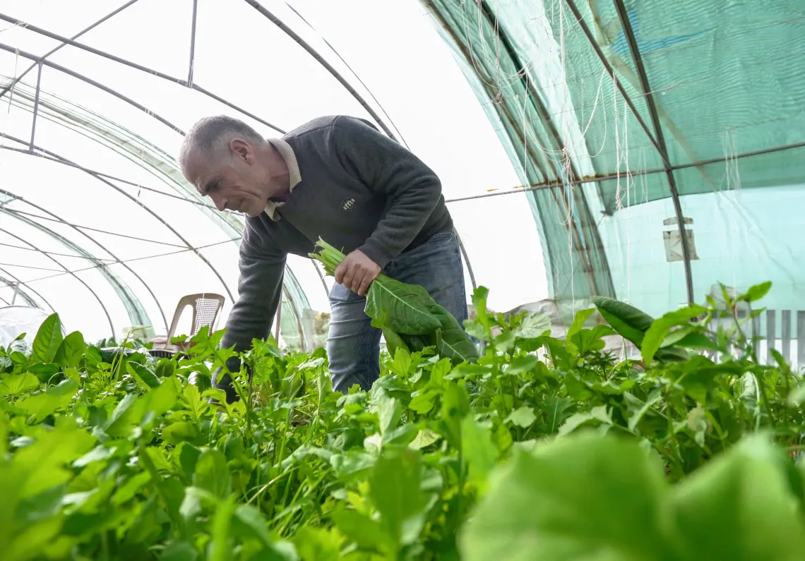 Farmer refugee In Domiz camp, Adnan Mohammed, envisioning a new future through his work. 