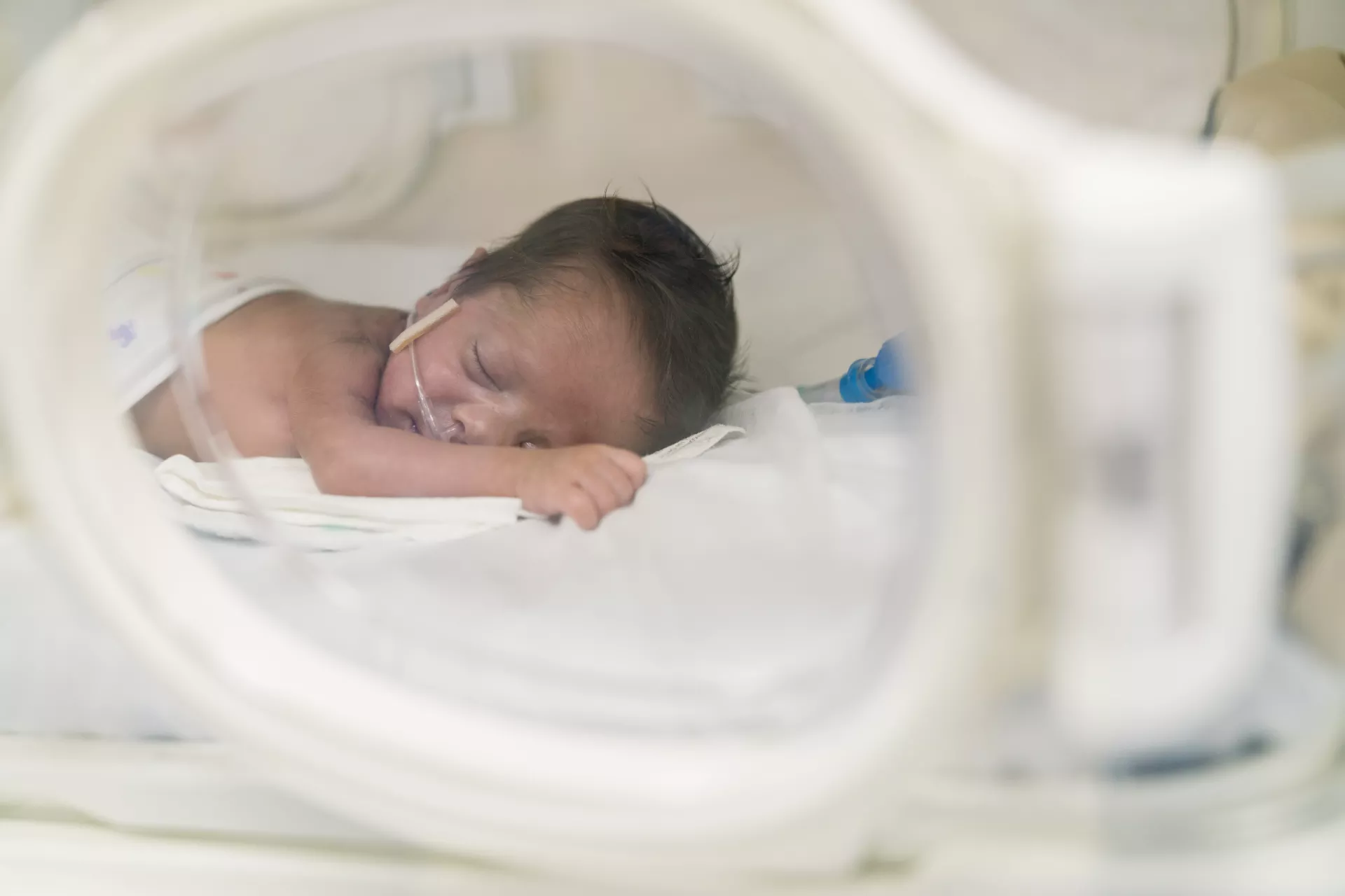 A baby sleeps in an incubator