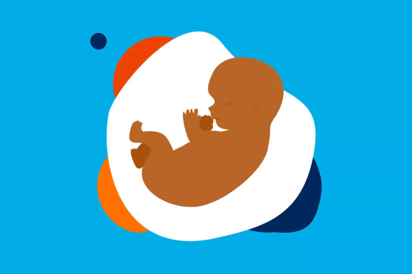 Your first trimester guide