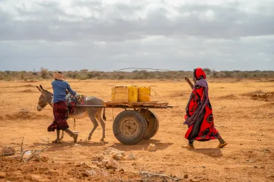 A woman guides her donkeys home after fetching water in Griftu, Wajir County