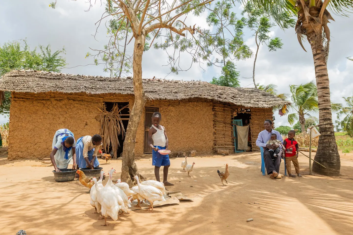 Nutritional Improvements through Cash and Health Education