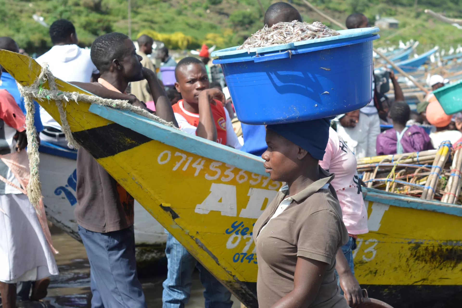 A woman carries a bucket of fish past fishing boa