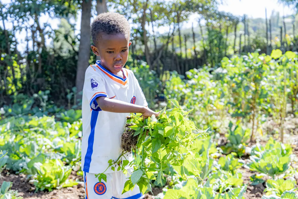 Evalin's youngest son, Liam, who is five years old, at the farm
