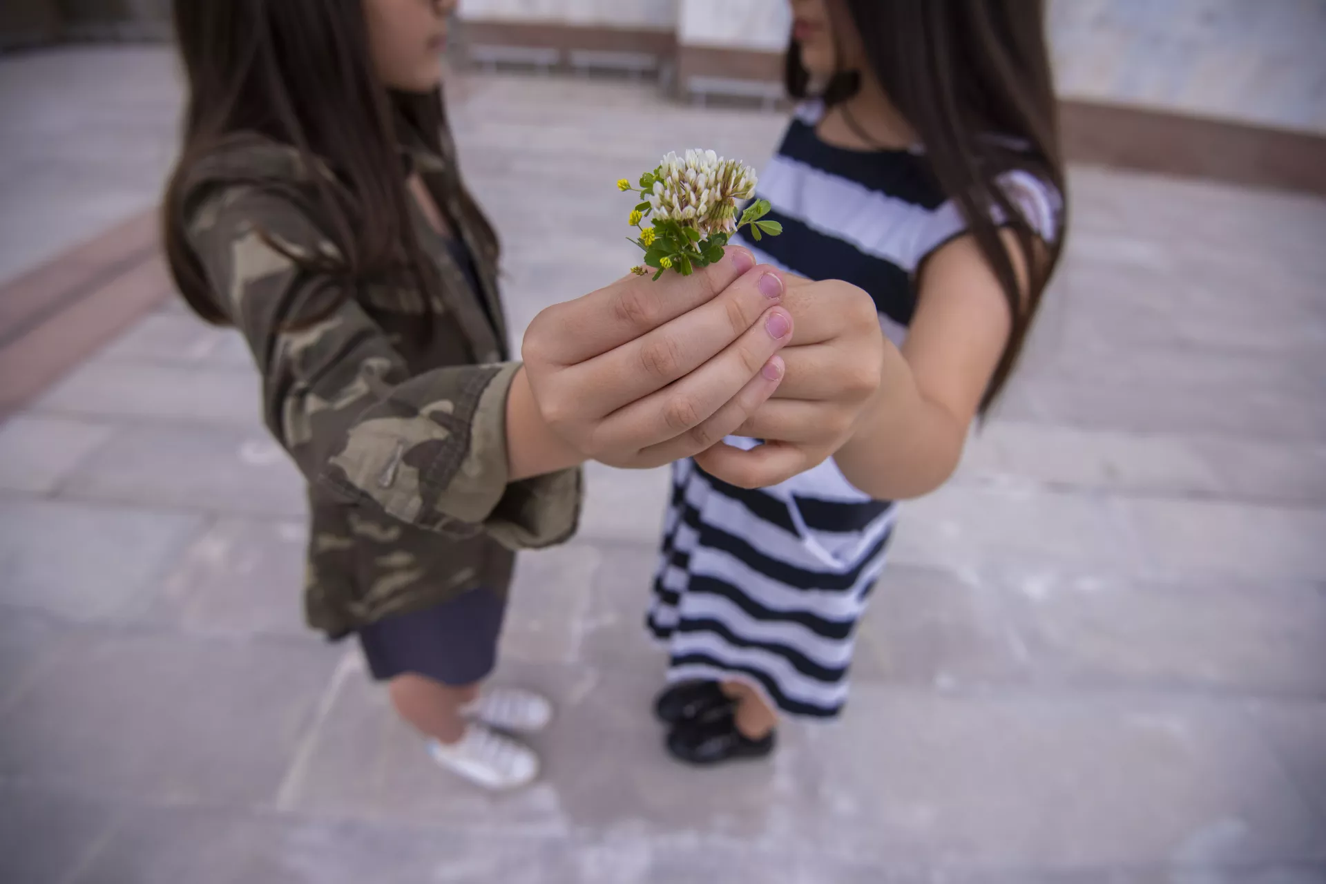  Migration, children and COVID-19