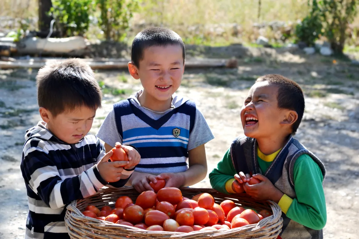 boys and tomatoes