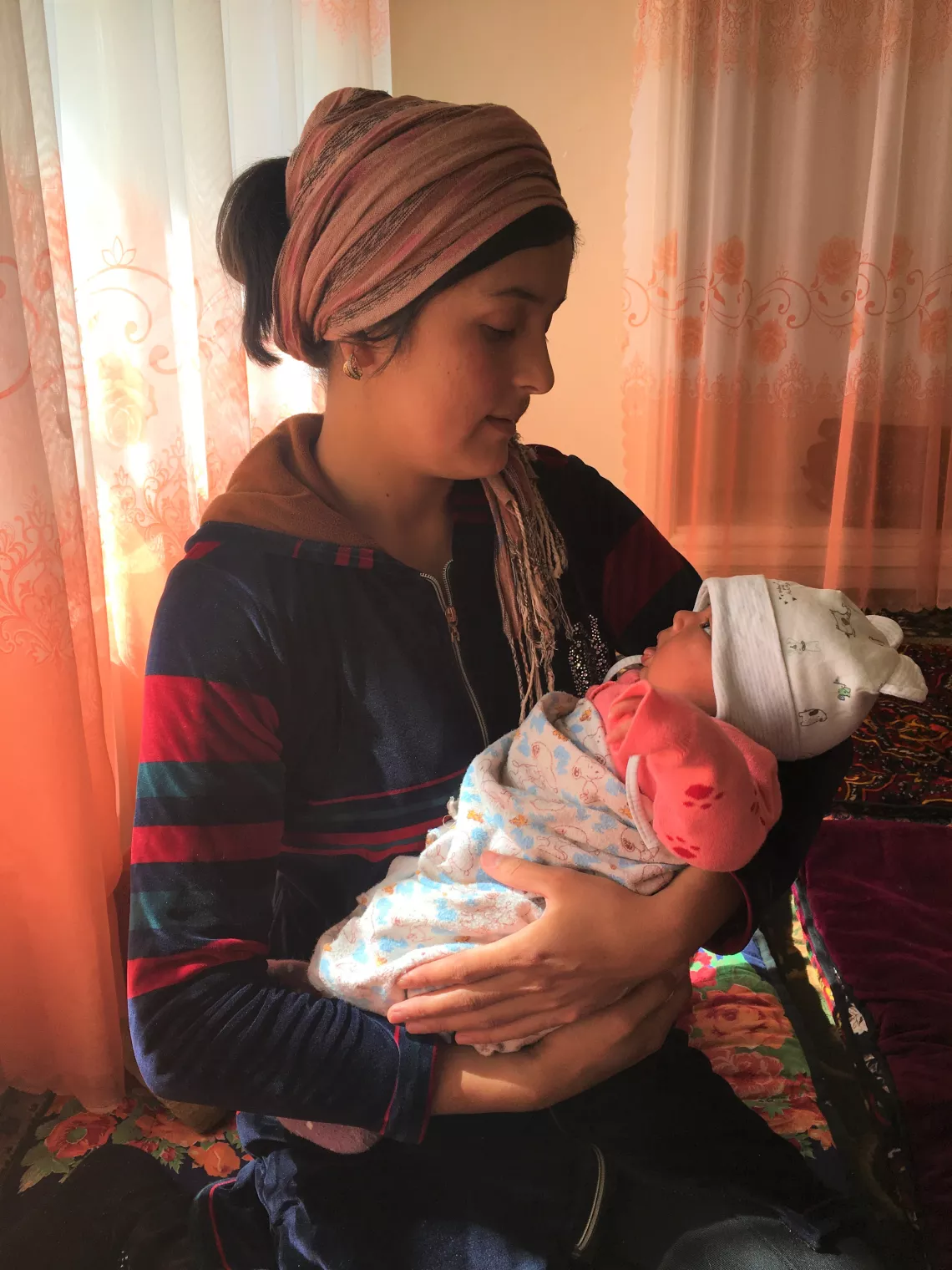 Home Visiting for Newborns&rsquo; Good Health 