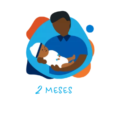 2 meses