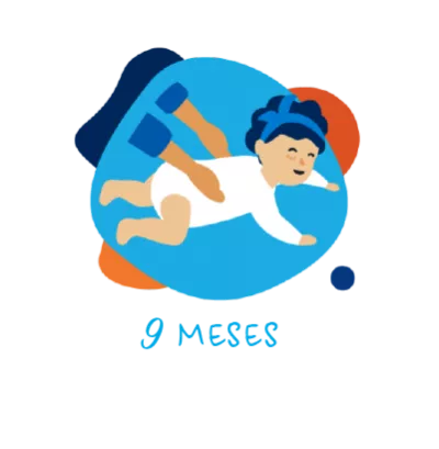 9 meses