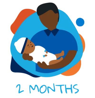2 meses
