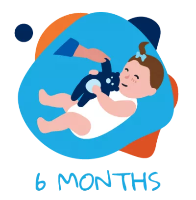 6 meses