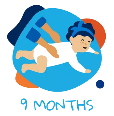 9 meses