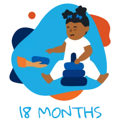 18 meses