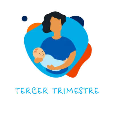 Tercer trimestre