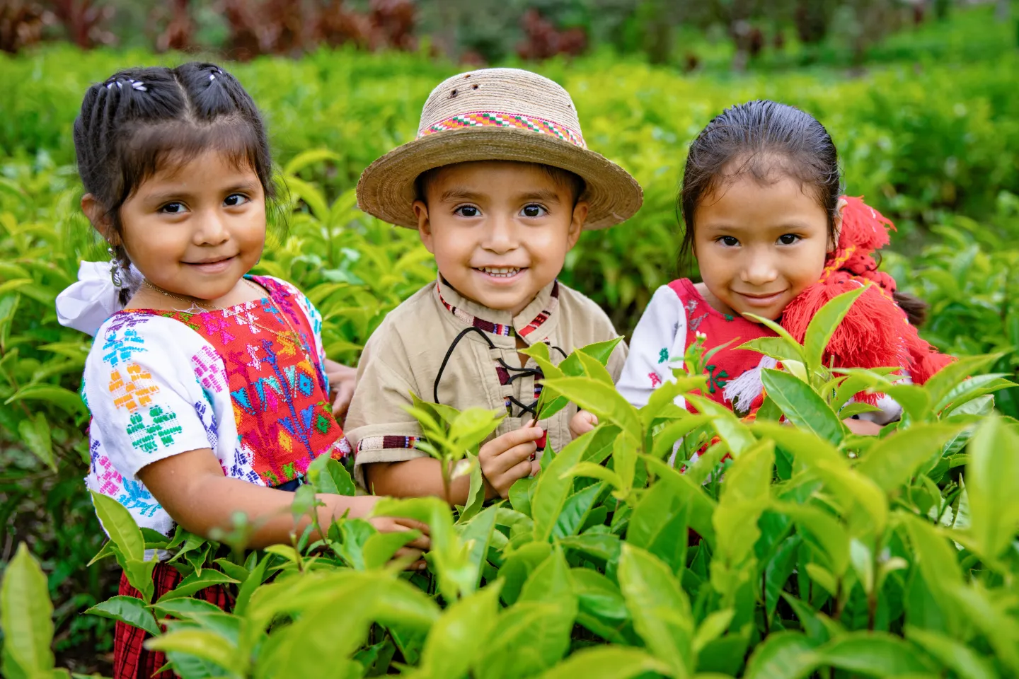 Dos ninas y un nino estan en un campo rodeado de plantas
