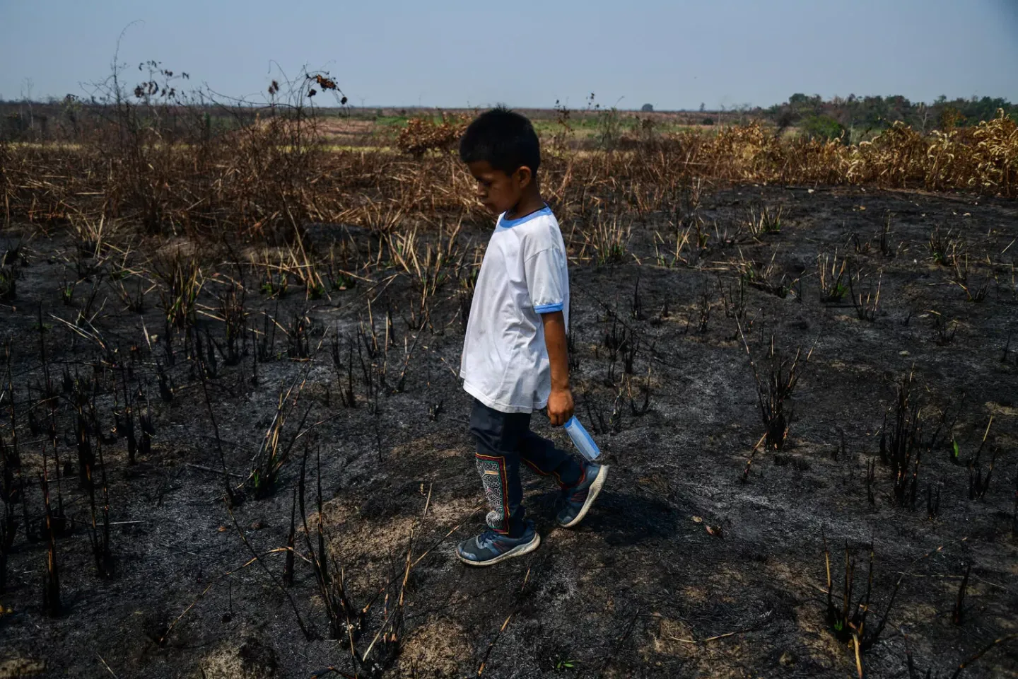 Un ni&ntilde;o camina en medio de vegetaci&oacute;n afectada por un incendio forestal
